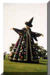 Ann Harris' Wizard