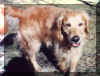 Bailey in March 2002