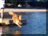 Bailey taking the plunge