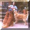 Da Boyz Friends: Sandy, Tramp, Mocha & Scott