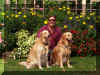 Bill and his boyz